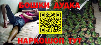 ГАЛЛЮЦИНОГЕННЫЕ ГРИБЫ Новозыбков