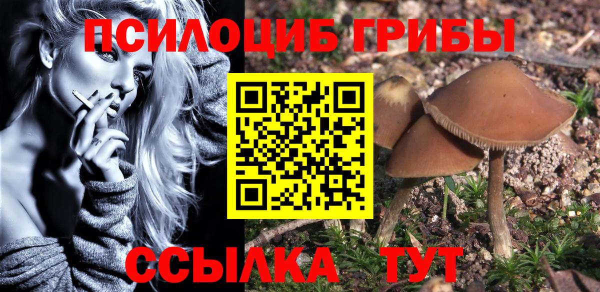 Галлюциногенные грибы GOLDEN TEACHER  Вход с VPN  Псилоцибиновые грибы Psilocybe  где купить наркоту  Реутов 