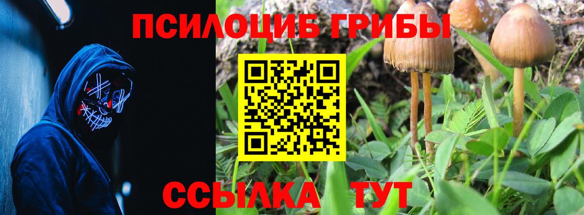 Галлюциногенные грибы прущие грибы Реутов